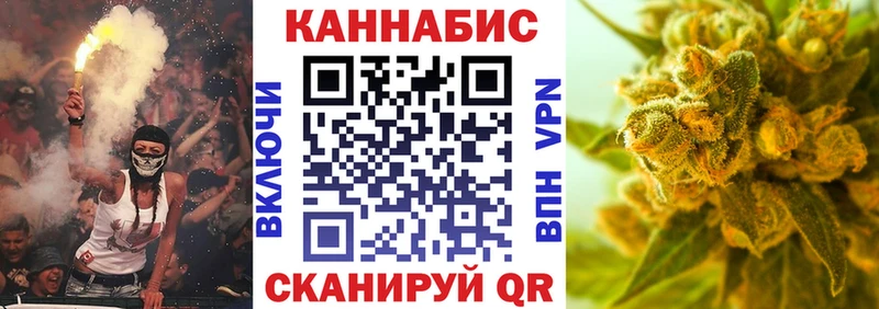 Марихуана план Шагонар